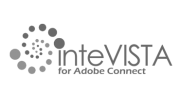 inteVISTA-logo-grayscale.png